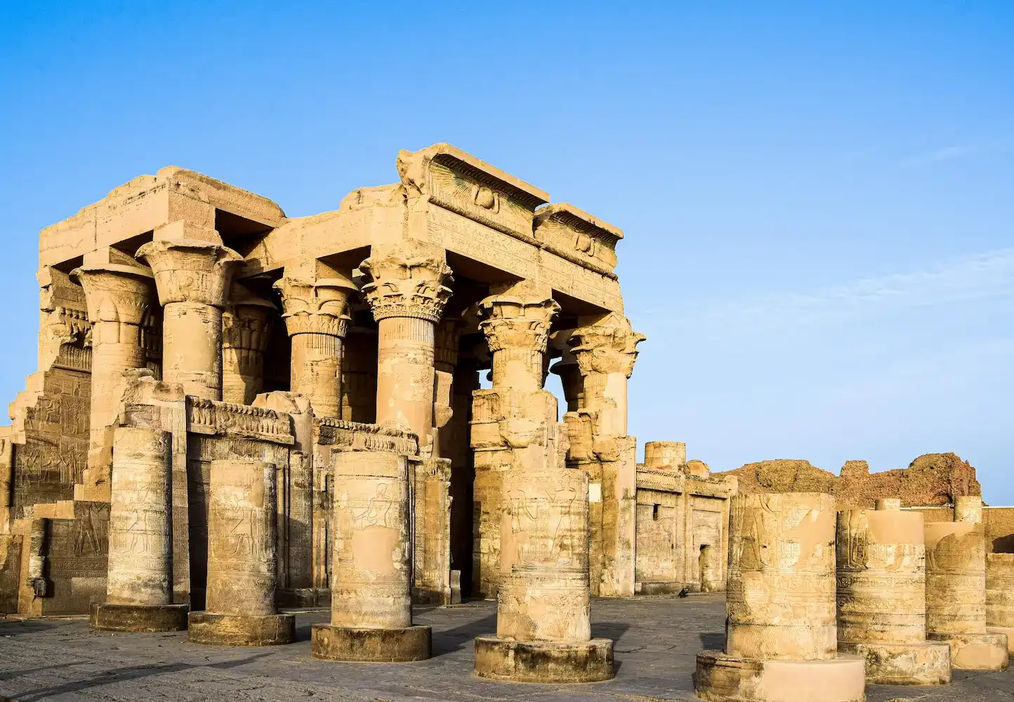 Specialist Tours